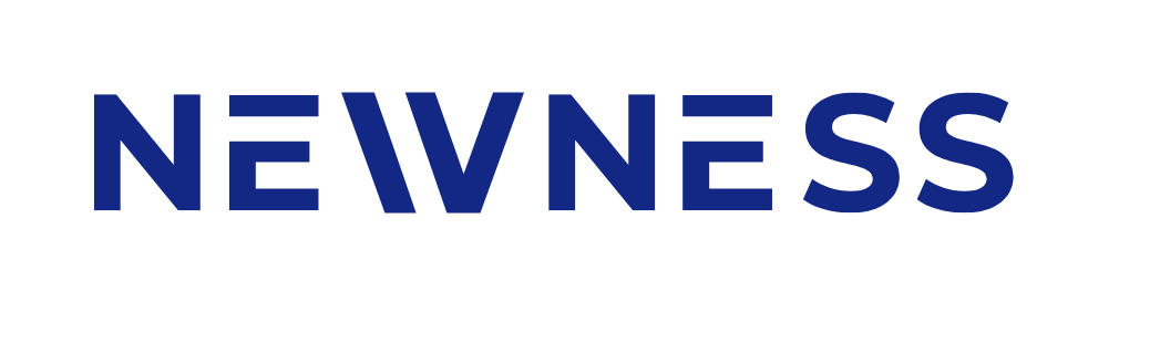 Newness Logo
