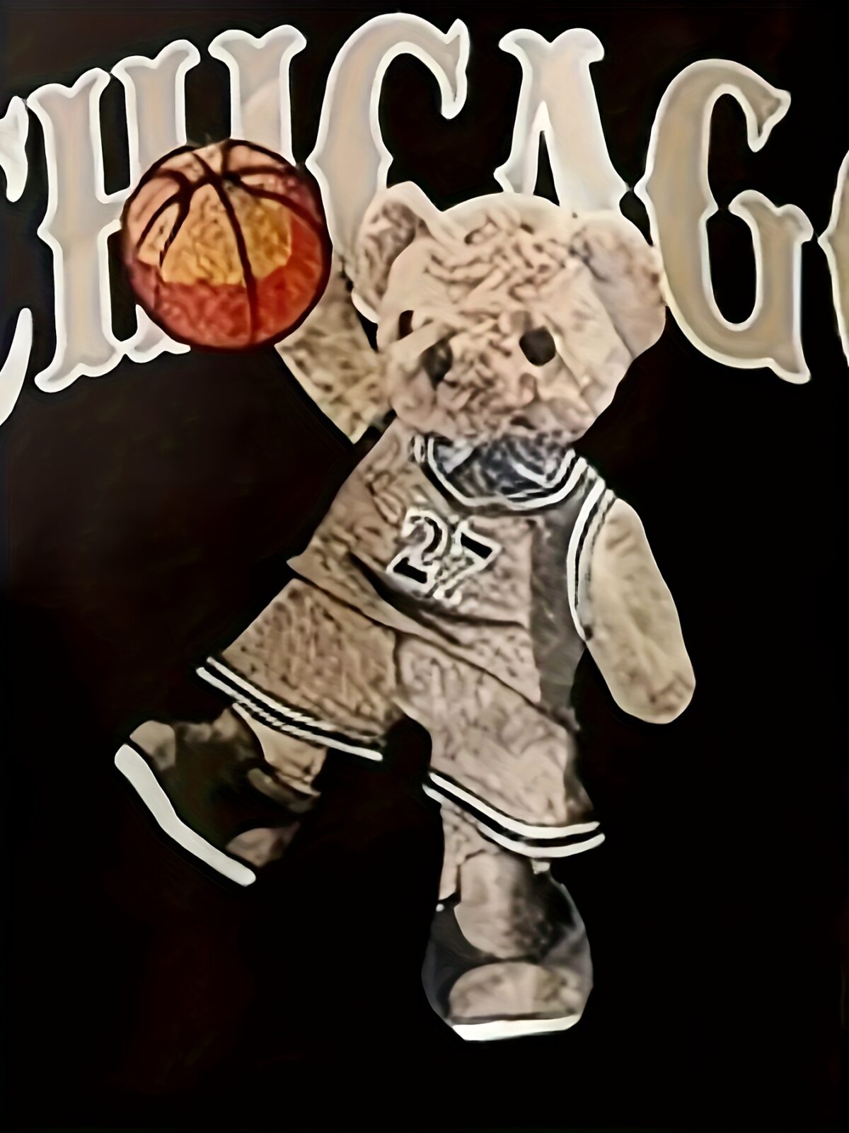 Adorable Chicago Bulls teddy bear set perfect for summer Sporty and breathable polyester