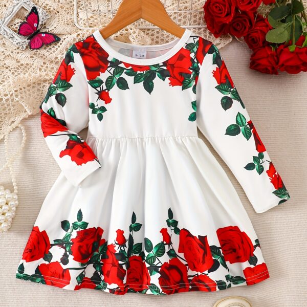 Adorable baby girl wearing a rose garden print dress perfect for fall and winter