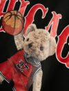 Adorable Chicago Bulls teddy bear set perfect for summer Sporty and breathable polyester